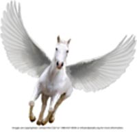 Image of Pegasus Image of Pegasus