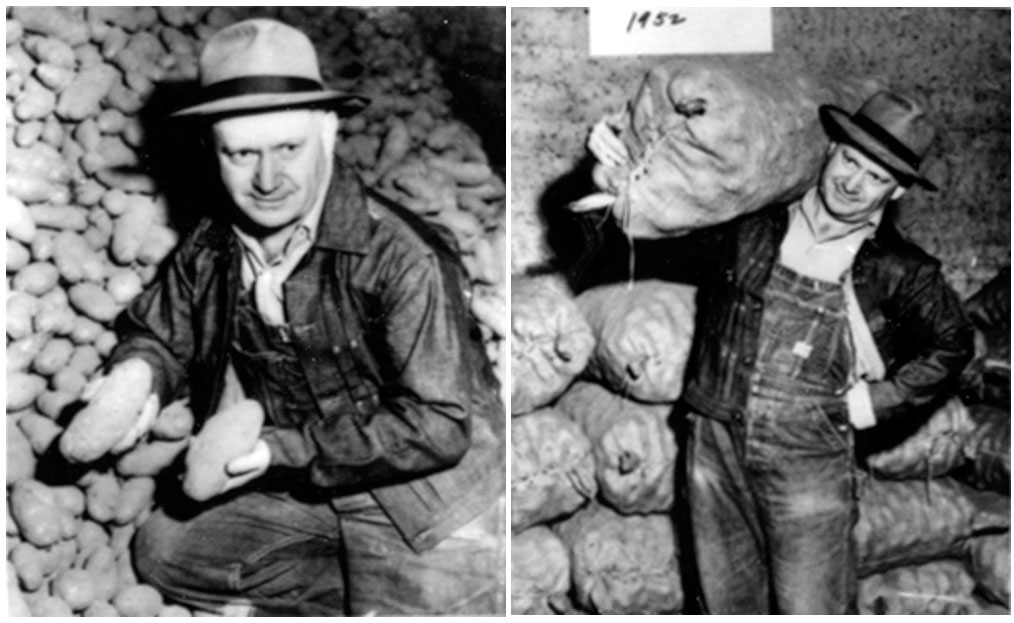 Charlie Hodde as potato farmer