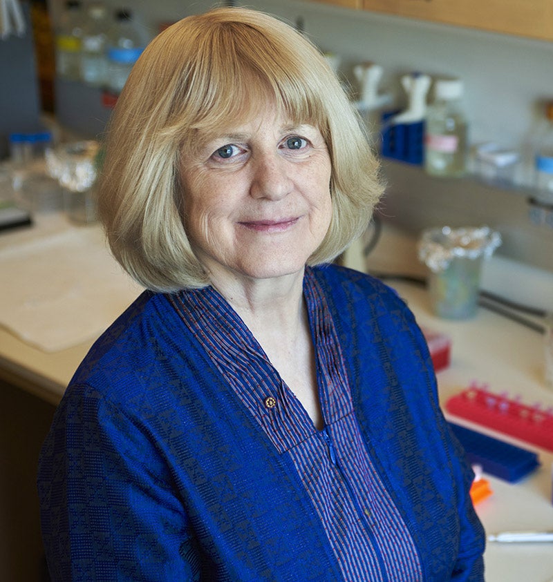Mary-Claire King