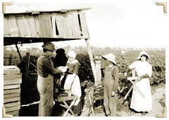 Berry pickers