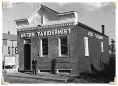 The building when it housed the Akers Taxidermy shop