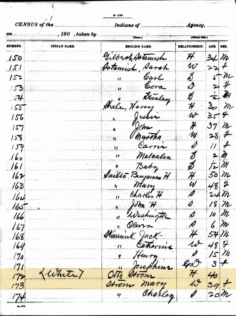 1910 Indian Census