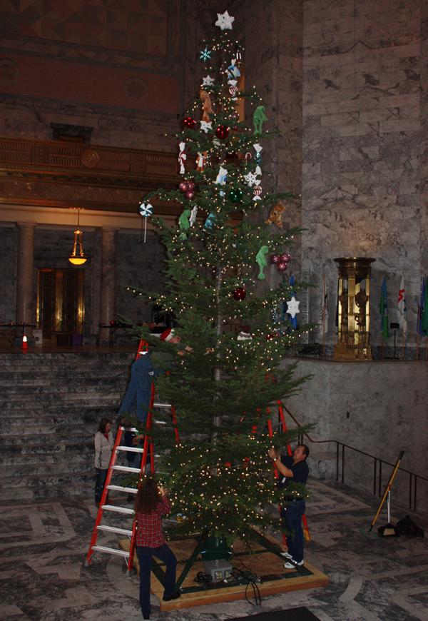 2012 Holiday Tree erection 010