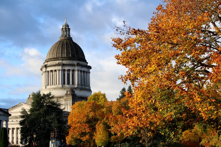 autumnmorning_oct2016_0054