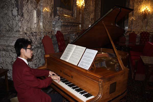 Bluthner Piano Bluthner Piano
