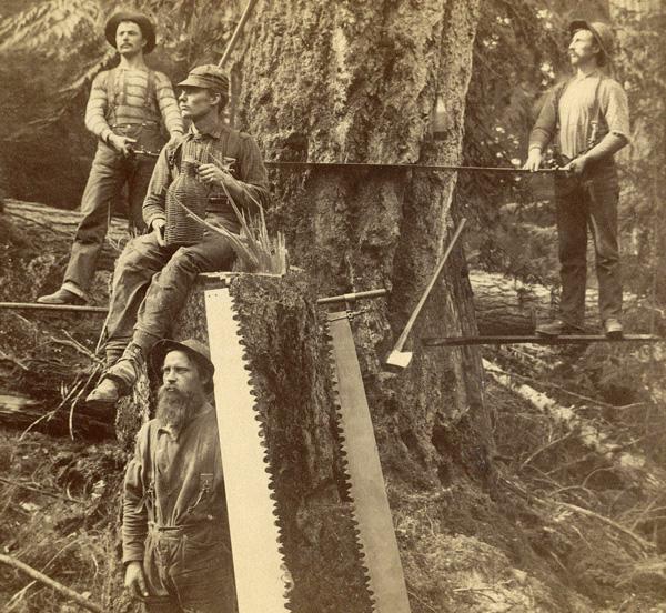 Fallers_Whidbey_Island_Washington_1887