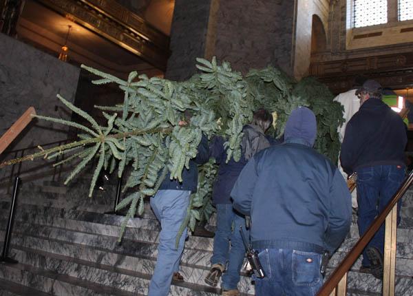 Holiday tree is brought up Holiday tree is brought up