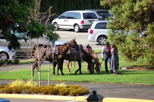 Horses-at-capitol