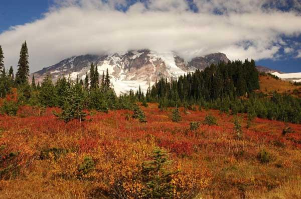 Mt Rainier20