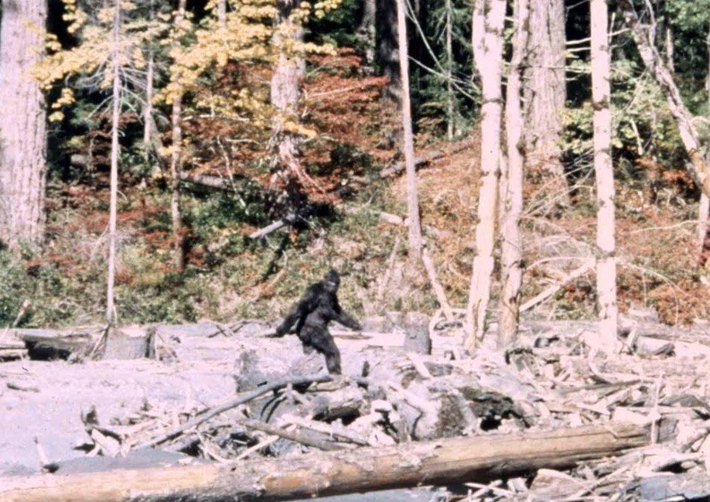 SasquatchStill sasquatchstill