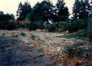Toxic-burn-site
