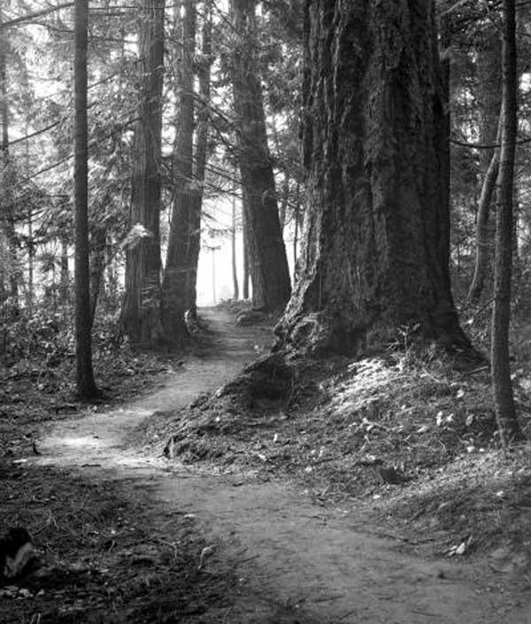Trail at Deception Pass SP 1934 Trail at Deception Pass SP 1934