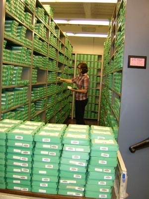 WTBBLgreencassettes WTBBLgreencassettes