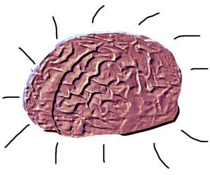 brain