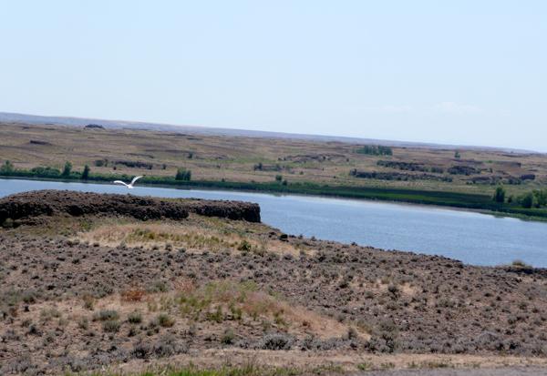 i90