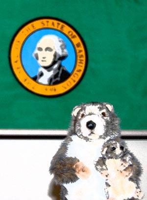 marmot1 marmot1