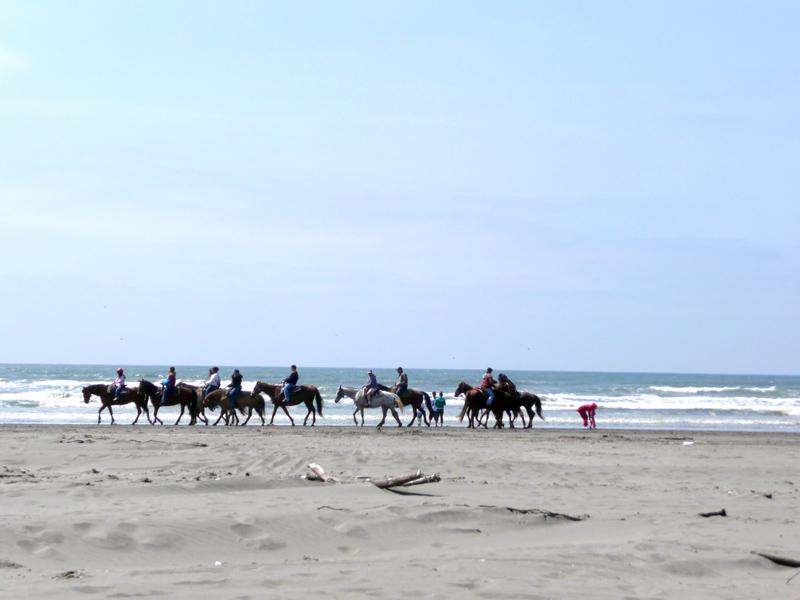 oceanshores2