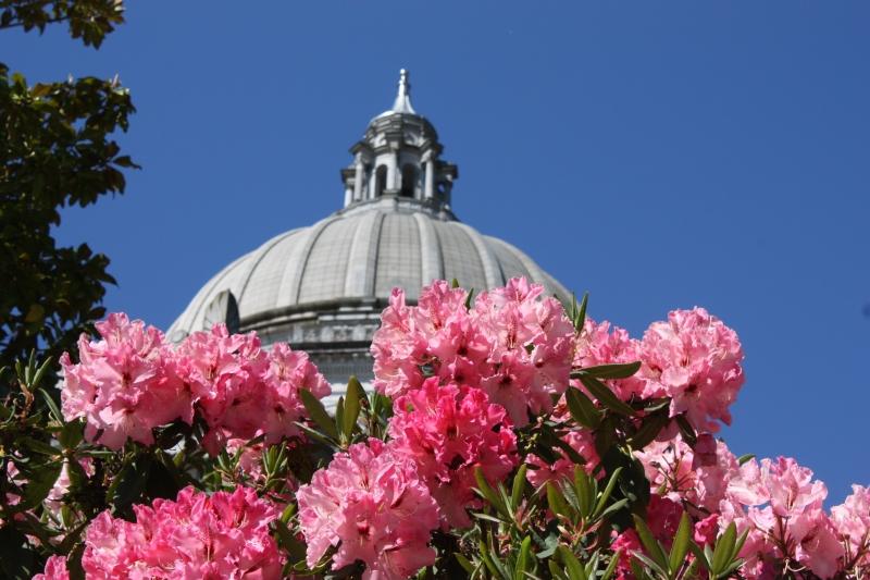 rhody1