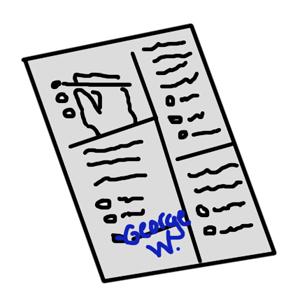 writeinballot writeinballot