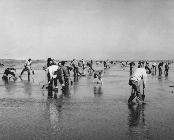 wsa_clamming_ca1960