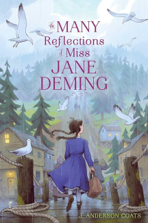 Book Cover for Many Reflections of Jane Deming by J Anderson Coats