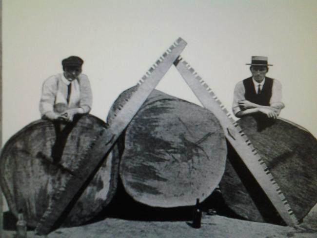 Chas. Newton and CH Maynard
