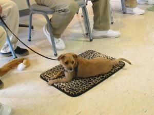George at AHCC Library