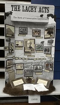 Junior Individual Exhibit 1st Place Winner "The Lacey Acts: the Birth of Conservation Legislation" by JoHanna Flahiff