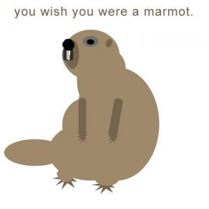 marmotstoon