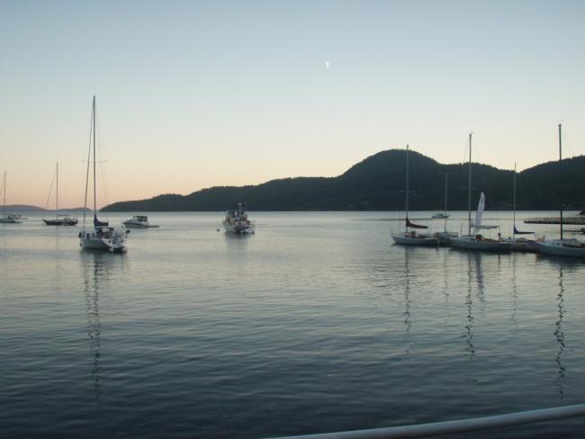 orcasisland