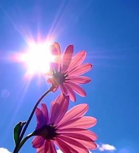 Hot Summer Sun (via Flickr)