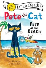 Book cover; a black cat is on a beach with a sand castle and another cat surfing in the background